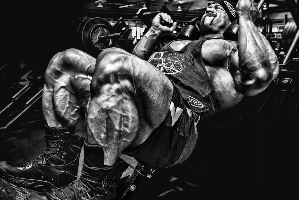 b6e9602faf06381621746291db87eda7 (1)